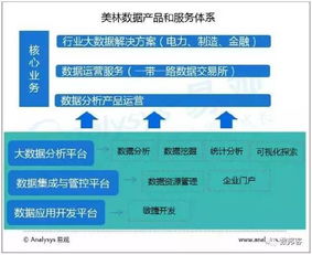 中國城市大數(shù)據(jù)市場專題分析 數(shù)字技術(shù)服務驅(qū)動下的機遇與挑戰(zhàn)